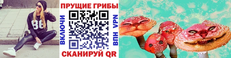 Псилоцибиновые грибы мухоморы  Суровикино 