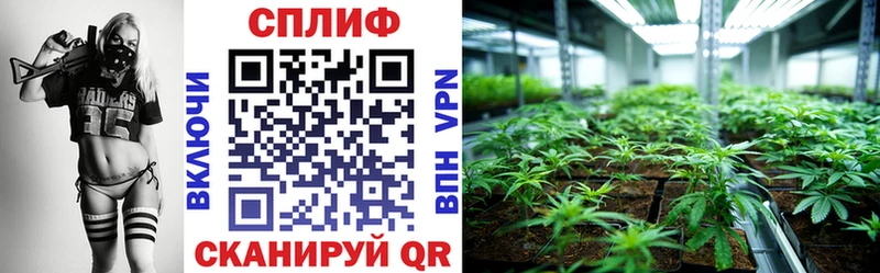Канабис планчик  Суровикино 